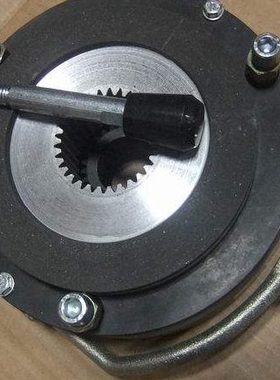 制动器DLTZ3-300   170VDC