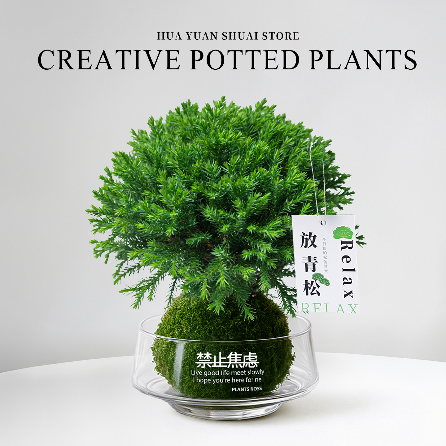 【放青松】雾凇苔藓球办公室内绿植桌面摆件懒人好养四季盆栽客厅,鲜花速递/花卉仿真/绿植园艺,绿植,淘宝优惠券,粉丝福利购,淘宝优惠卷