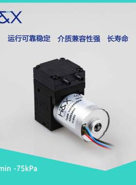 -80kPa无刷调速微型隔膜泵耐压高真空气体采样微型气泵抽气负压泵