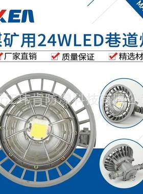 热卖推广DGS24_127L圆形灰色巷道灯24W矿用隔爆型LED巷道灯