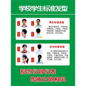 学校仪容仪表男女中学生标准发型墙贴纸展板写真海报印制