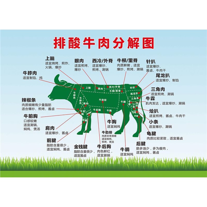 排酸牛肉分割图海报贴纸墙贴鲜牛肉分解图壁画排酸牛肉分解图海报