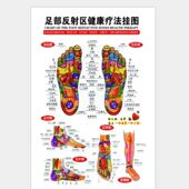 足部反射区挂图足底按摩好处足疗足浴经络穴位图片中医养生