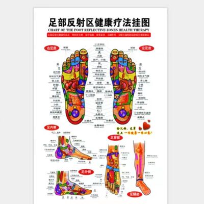 足部反射区挂图足底按摩好处足疗足浴经络穴位图片中医养生