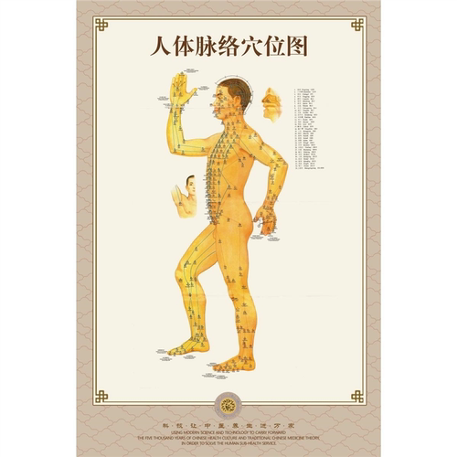 中医针灸穴位挂图标准人体经络图养生脉络大挂图拔罐艾灸馆用穴道