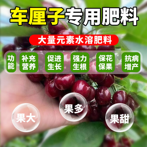 车厘子专用肥果树肥料樱
