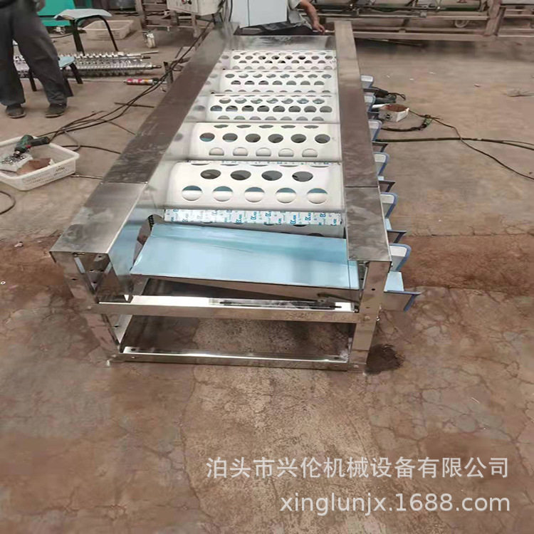 马蹄分选机 皇帝柑分级机 滚桶式分选是设备 小型 水果分级机