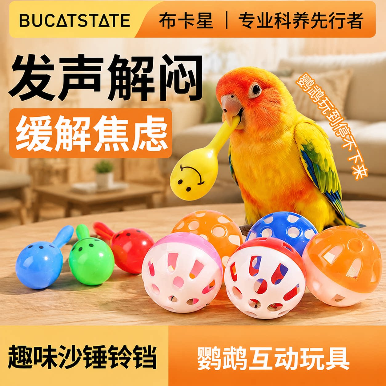 布卡星鹦鹉啃咬玩具解闷图片