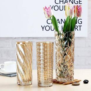 轻奢高级感花瓶欧式玻璃花瓶彩色直筒插花客厅摆件装饰大号落地