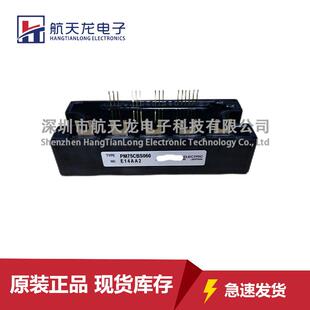 PM75CBS060PM100CS1E060PM300CBS060PM200CBS060PM100CBS060