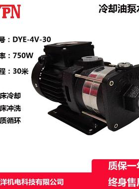 DYL-4V-30220V卧式不锈钢低温冷冻循环泵冷却泵离心式离心泵