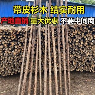 松木桩杉木桩河道打桩木绿化支撑杆落叶松油松户外防汛带皮原木桩