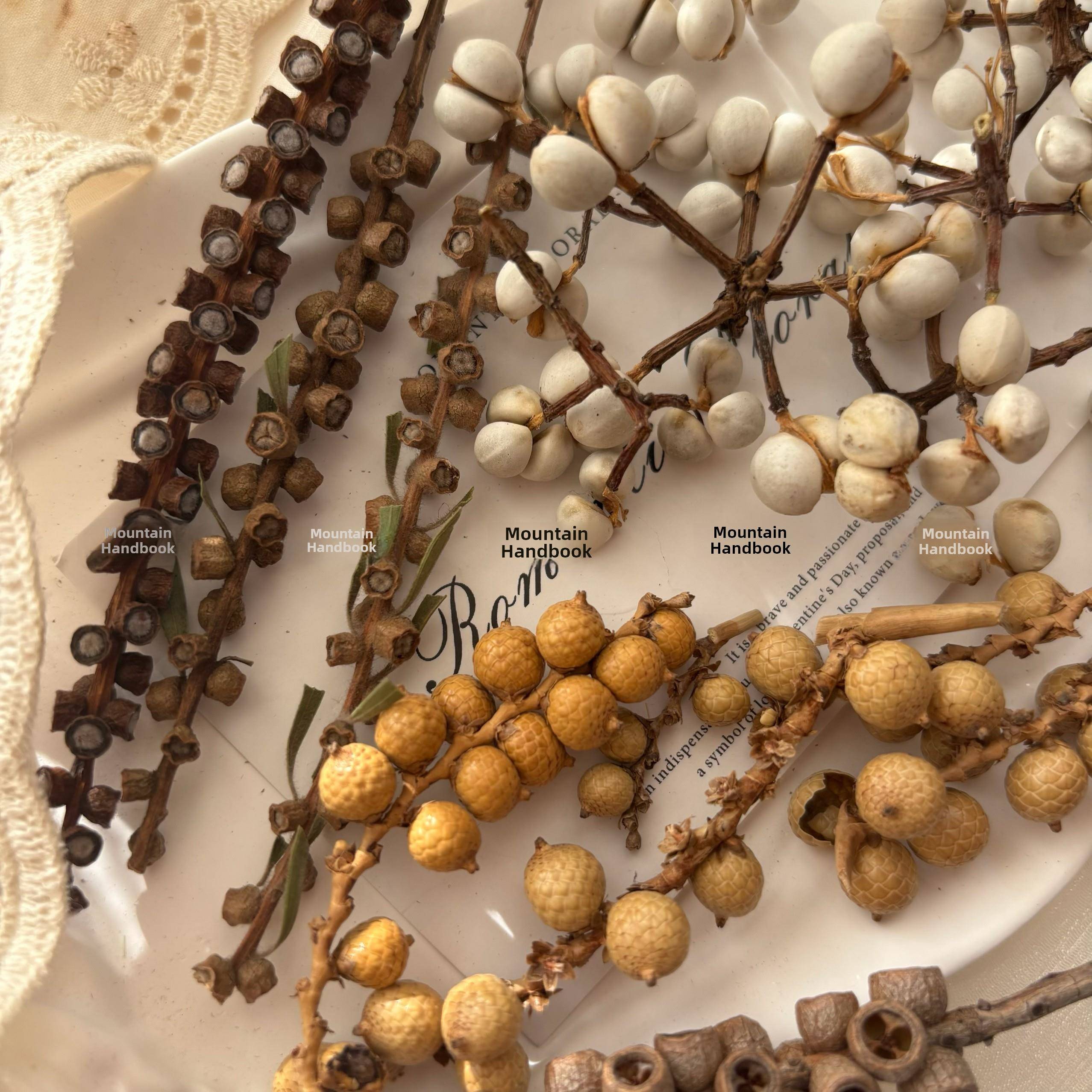 山地手册Junkjournal秋季水果干花景观材料微型DIY手册手工材料