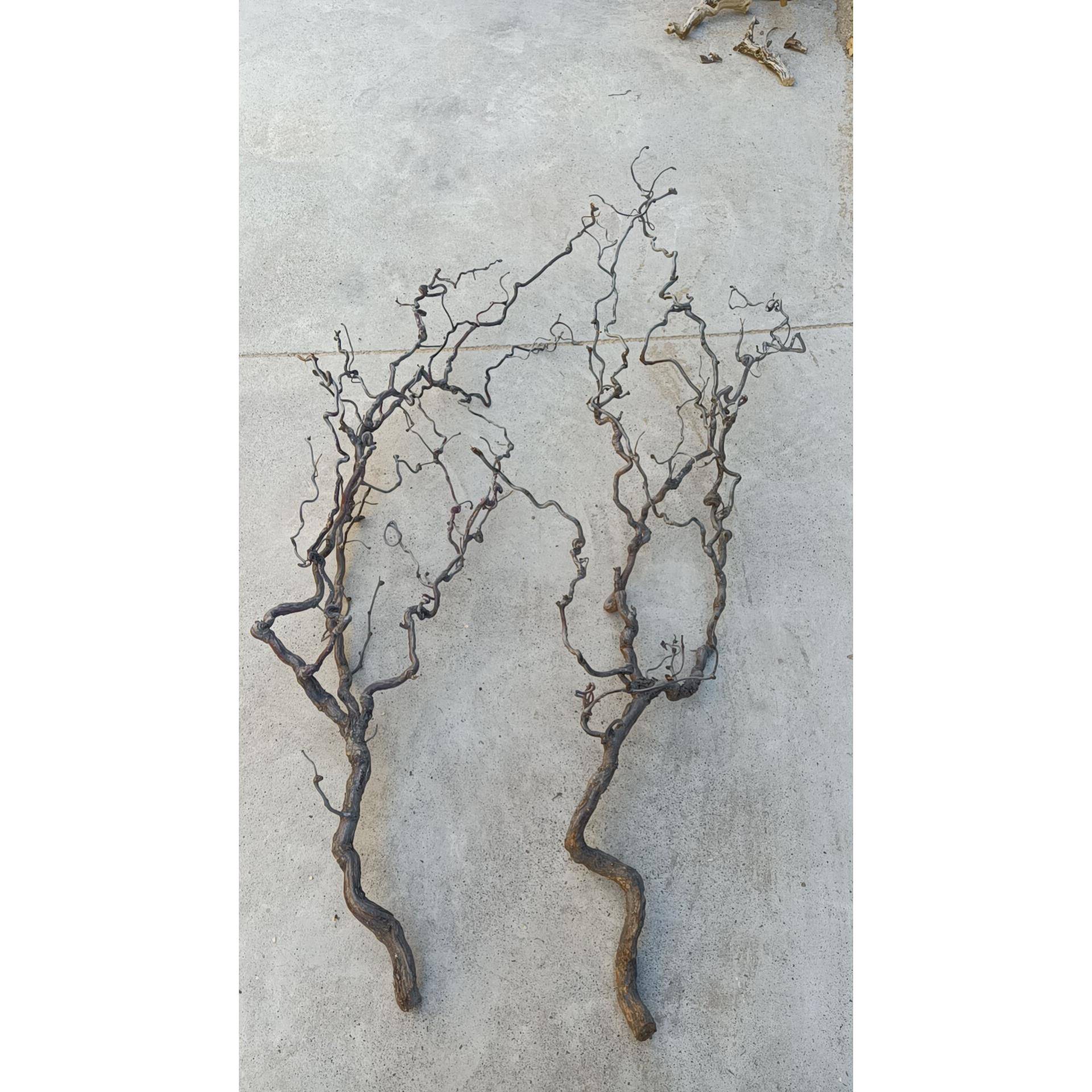 龙枣干燥树枝插花树枝盘龙支手工diy创意材料树杈侘寂风弯曲枯枝