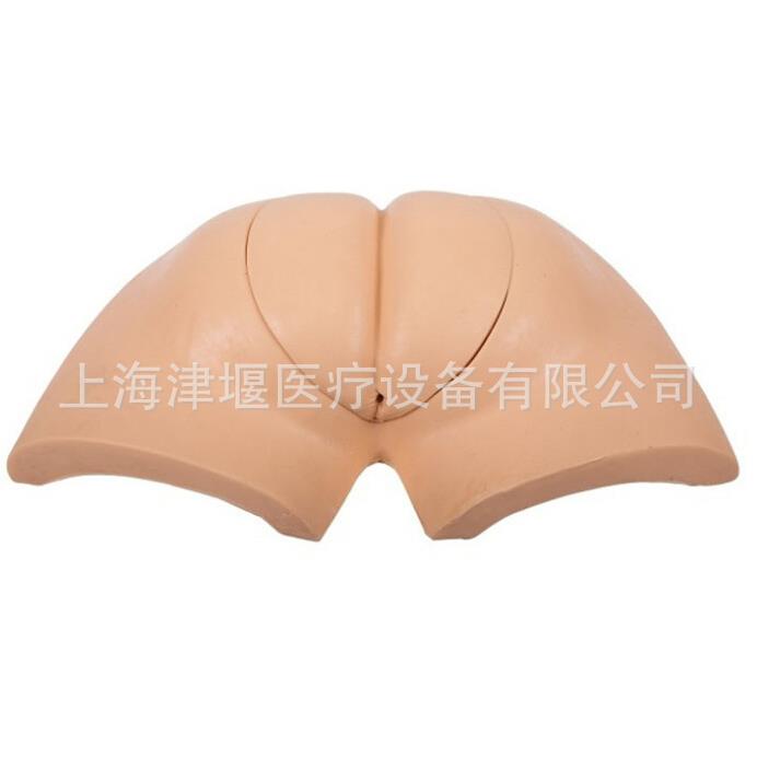 供应着装式人工取便训练模型护理教学培训用具津堰