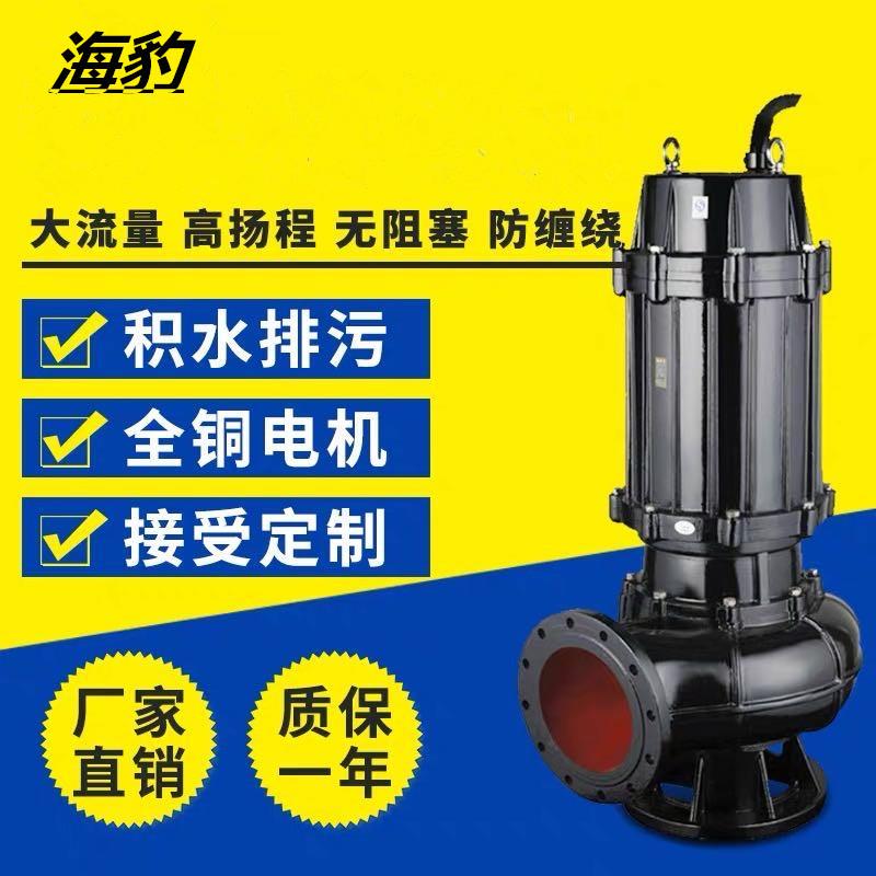潜水提升泵提升雨水污水积水带自耦带导轨固定式安装的排污泵