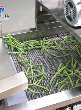 气洗机清 净菜加工生产线 果蔬加工泡设备 腾昇机EUW械 洗除水风