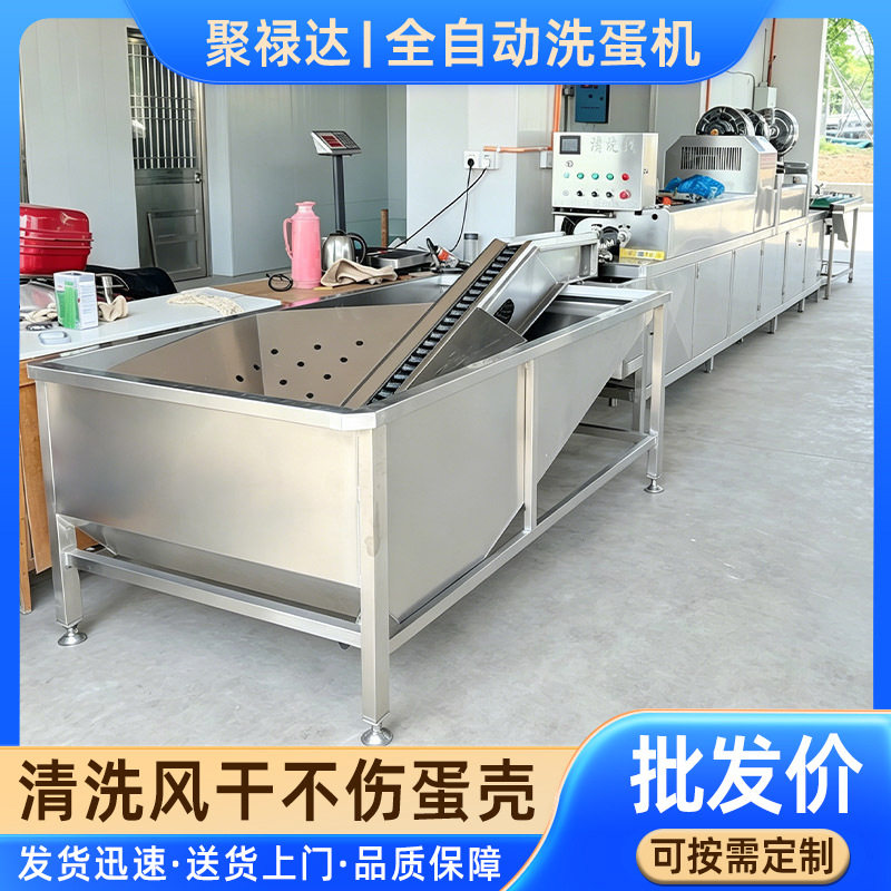 保洁蛋清洗流水线全自动单排洗蛋机多功能不锈钢鸡蛋清洗机器