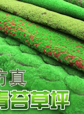植物墙仿真苔藓绿色假苔藓青苔微景观盆景造景装饰材料草坪草皮