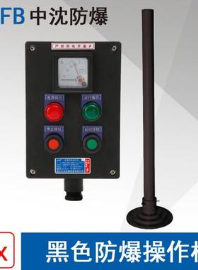 LBZ58A2B1D2防爆操作柱2指示灯2按钮1仪表黑色防爆防腐操作控制箱