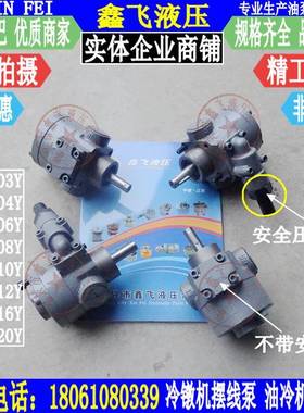 RBB-203YRBB-204YRBB-206YRBB-208Y摆线齿轮油泵冷镦机油泵