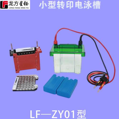 龙方星钰LF-ZY01转印电泳槽75×100mm转印面积