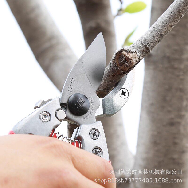 爱丽斯-VA-7Z8Z剪刀修枝剪家用新款进口果树粗枝剪省力园艺剪枝刀