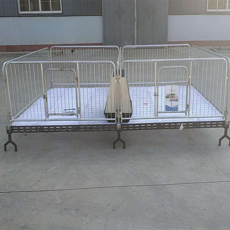 双体小猪喂猪供应猪床两圈保育床复合保育养猪设备