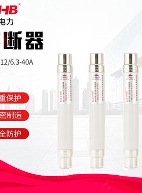 鸿秀10KV负荷开关用熔断器XRNT-12/6.3-40A高压高分段能力熔断器