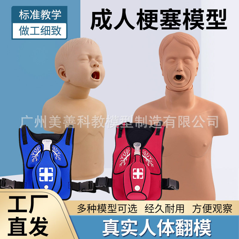 儿童海姆立克急救模型异物哽塞阻海氏急救人体成人气道梗塞模型
