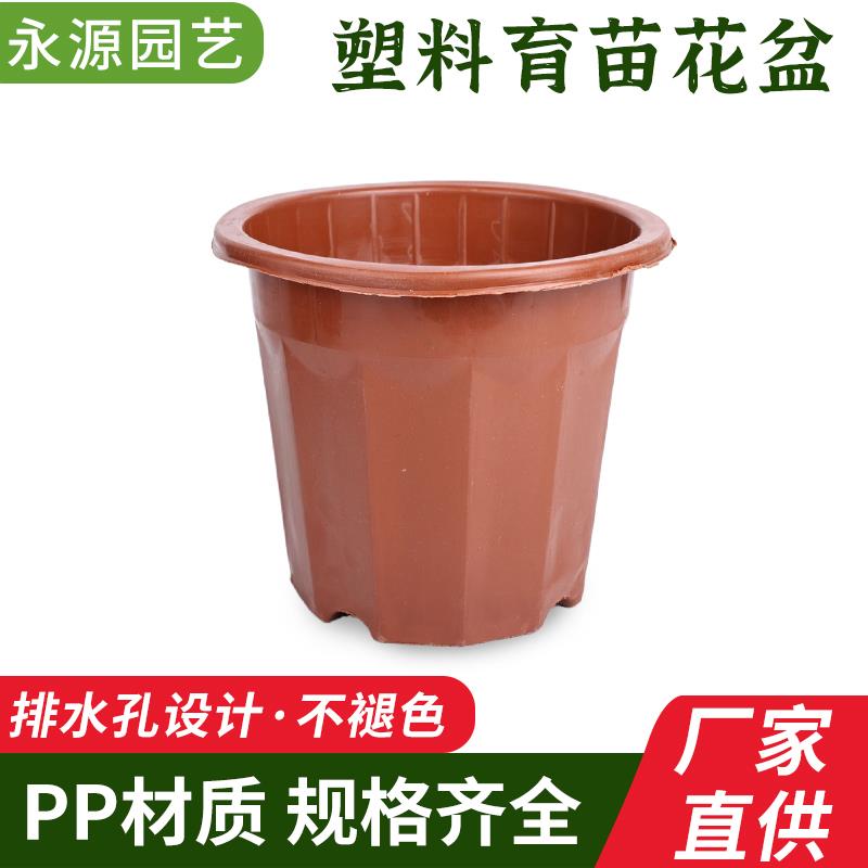 塑料胶花盆加厚耐用一次性种花育苗盆特大号小号植花盆直销