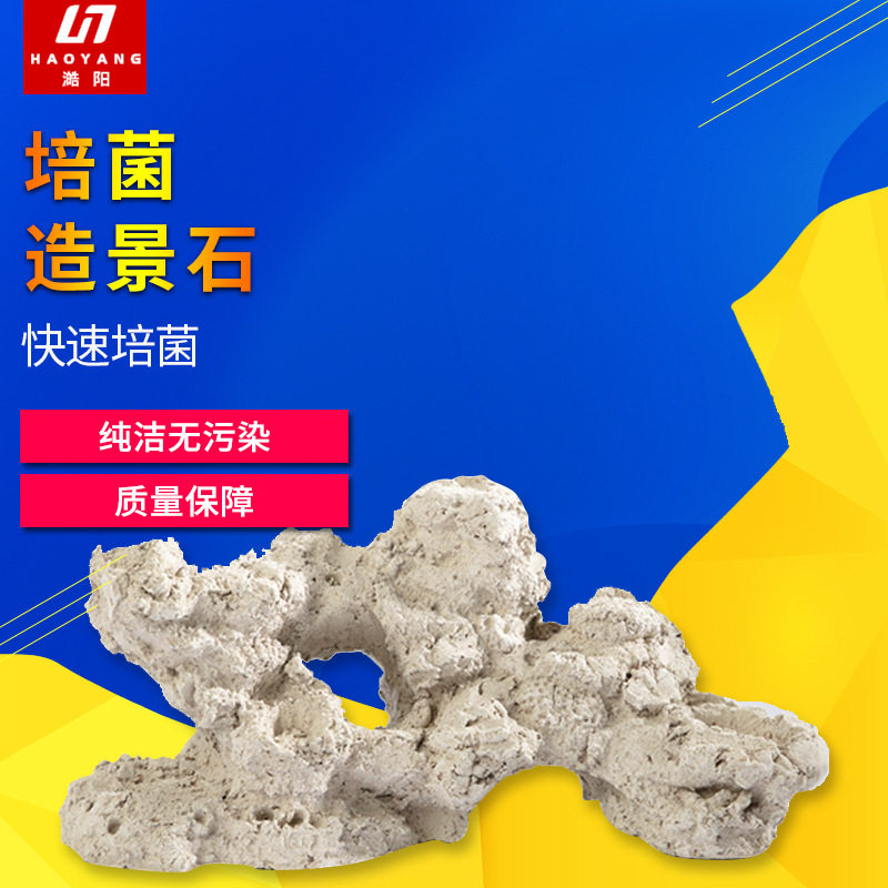 新款海水缸免爆藻快速开缸培菌造景石人造石海缸珊瑚造景澔阳澔海