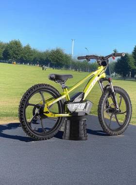 FXB直销儿童电动滑步车600w大功率持久续航5.0AH平衡车