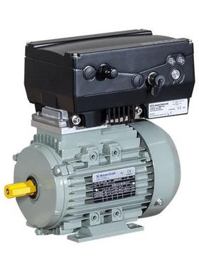 AC-MotorenIE3AC10LB403FCA100LB4/PHE电机德国AC-Motoren