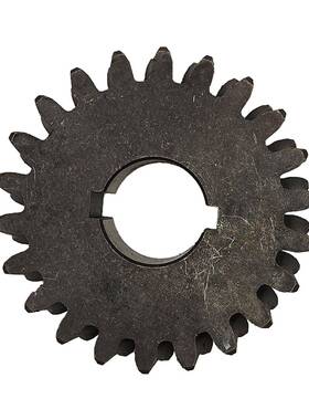 WormGear5373053730MASnowThrower2Stagesnowblower