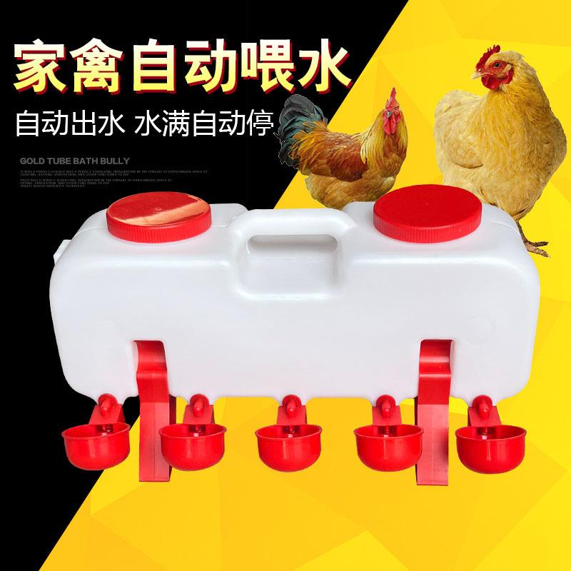 鸡用自动饮水器鸡鸭鹅饮水碗喝水碗鹌鹑家禽饮水器雏鸡鸭鸟饮水器