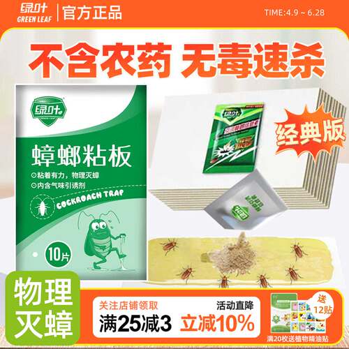 绿叶蟑螂粘板贴家用厨房全窝端