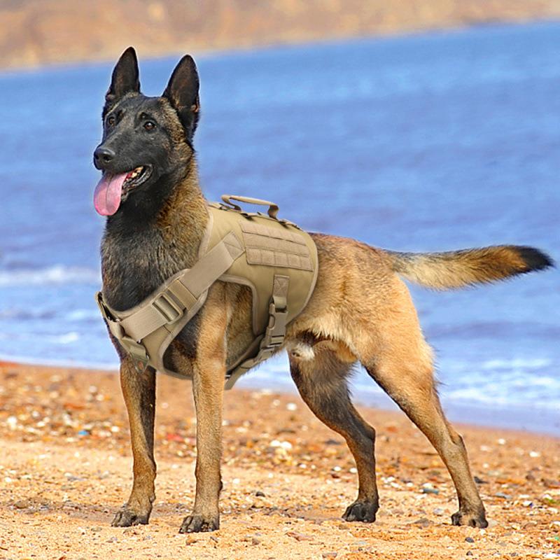 宠物胸背带一体式马犬训练项圈牵引绳狗狗心式狗脖圈大型犬德牧销