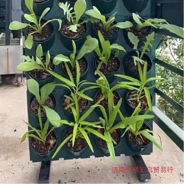 阳台种菜移动花架植物墙绿植墙户外落地花盆架子多层蔬菜种植架铁