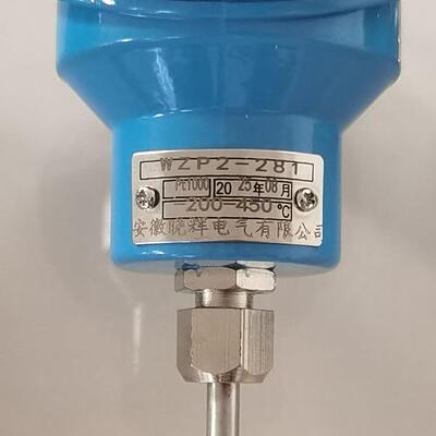 WZP2-281双支PT100铠装铂热电阻WZP-280