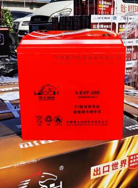 3EVF200蓄电池洗地机观光车环卫车升降机高空作业平台(LEOCH)电池