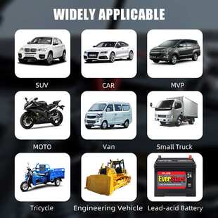 E-FAST Lead Iron  LiFePo4 Battery Charger 12V Automotive Bat