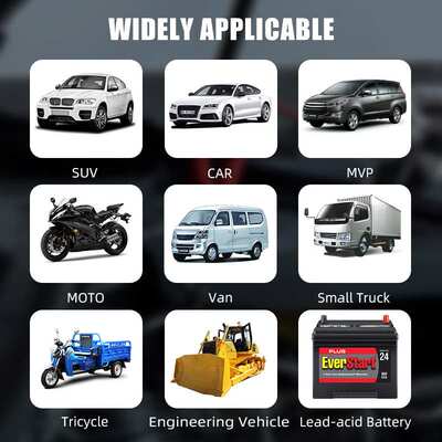 E-FAST Lead Iron  LiFePo4 Battery Charger 12V Automotive Bat