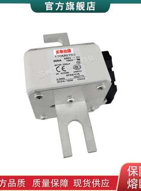 170M6785 6786 6787 6806 6788 6789 6790 6784 巴斯曼快速熔断器