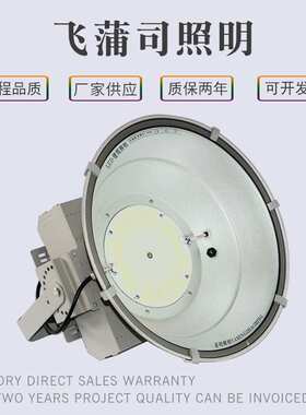飞蒲司LED塔吊灯户外防雨鳍片塔吊照明灯工地建筑大功率投射灯