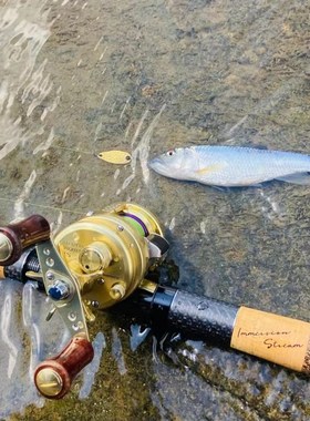 552ULK 22新款枪柄复古 两节 湛道 SIC环 路亚竿 鱼某人 马口白条