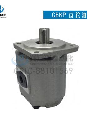 供应CBKP63-BFH， CBKP80-BFH， CBKP100-BFH ,CBKP齿轮油泵