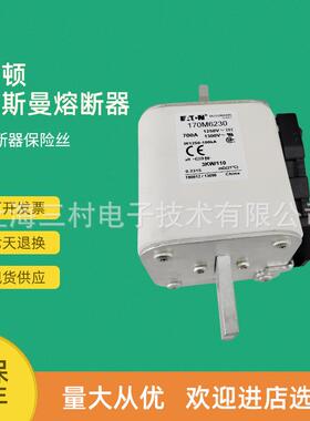 全新原装快速熔断器保险丝170M6229 170M6230 170M6237 170M6238