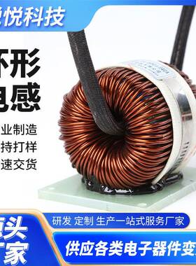 NPF225060/04600μH40A磁环电感/大功率环型电感湖南