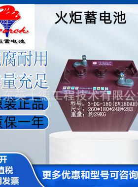 火炬铅酸蓄电池3-DG-180/200/210叉车电瓶牵引用6V观光车电动三轮